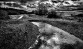 https://www.waibe.fr/sites/francipaq/medias/images/__HIDDEN__galerie_44/20260219-L4002345-b_BW_copie_2500.jpg