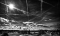 https://www.waibe.fr/sites/francipaq/medias/images/__HIDDEN__galerie_44/20260221-L4002357-b_BW_copie_2500.jpg