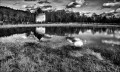 https://www.waibe.fr/sites/francipaq/medias/images/__HIDDEN__galerie_44/20260223-L4002379-b_BW_copie_2500.jpg