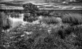 https://www.waibe.fr/sites/francipaq/medias/images/__HIDDEN__galerie_44/20260223-L4002392-b_BW_copie_2500.jpg