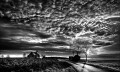 https://www.waibe.fr/sites/francipaq/medias/images/__HIDDEN__galerie_44/20260223-L4002408-b_BW_copie_2500.jpg