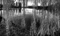 https://www.waibe.fr/sites/francipaq/medias/images/__HIDDEN__galerie_44/20260303-L4002469-b_BW_copie_2500.jpg