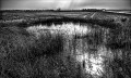 https://www.waibe.fr/sites/francipaq/medias/images/__HIDDEN__galerie_44/20260305-L4002479-b_BW_copie_2500.jpg