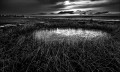 https://www.waibe.fr/sites/francipaq/medias/images/__HIDDEN__galerie_44/20260306-L4002482-b_BW_copie_2500.jpg