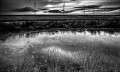 https://www.waibe.fr/sites/francipaq/medias/images/__HIDDEN__galerie_44/20260306-L4002490-b_BW_copie_2500.jpg