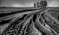https://www.waibe.fr/sites/francipaq/medias/images/__HIDDEN__galerie_44/20260308-L4002506-b_BW_copie_2500.jpg