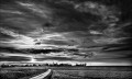 https://www.waibe.fr/sites/francipaq/medias/images/__HIDDEN__galerie_44/20260312-L4002567-b_BW_copie_2500.jpg