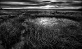 https://www.waibe.fr/sites/francipaq/medias/images/__HIDDEN__galerie_44/20260312-L4002569-b_BW_copie_2500.jpg