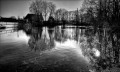 https://www.waibe.fr/sites/francipaq/medias/images/__HIDDEN__galerie_44/20260318-L4002590-b_BW_copie_2500.jpg