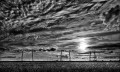 https://www.waibe.fr/sites/francipaq/medias/images/__HIDDEN__galerie_44/20260326-L4002628-b_BW_copie_2500.jpg
