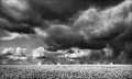 https://www.waibe.fr/sites/francipaq/medias/images/__HIDDEN__galerie_44/20260328-L4002646-b_BW_copie_2500.jpg