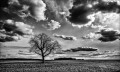https://www.waibe.fr/sites/francipaq/medias/images/__HIDDEN__galerie_44/20260329-L4002673-b_BW_copie_2500.jpg