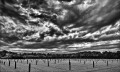 https://www.waibe.fr/sites/francipaq/medias/images/__HIDDEN__galerie_44/20260502-L4002845-b_BW_copie_2500.jpg
