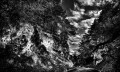 https://www.waibe.fr/sites/francipaq/medias/images/__HIDDEN__galerie_44/20260507-L4002855-b_BW_copie_2500.jpg