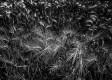 https://www.waibe.fr/sites/francipaq/medias/images/__HIDDEN__galerie_44/20260530-L4002878-b_BW_copie_2000.jpg