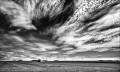 https://www.waibe.fr/sites/francipaq/medias/images/__HIDDEN__galerie_44/20260702-L4002971-b_BW_copie_2500.jpg