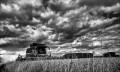 https://www.waibe.fr/sites/francipaq/medias/images/__HIDDEN__galerie_44/20260702-L4002987-b_BW_copie_2500.jpg