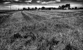https://www.waibe.fr/sites/francipaq/medias/images/__HIDDEN__galerie_44/20260705-L4003005-b_BW_copie_2500.jpg