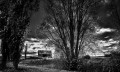 https://www.waibe.fr/sites/francipaq/medias/images/__HIDDEN__galerie_44/20260726-L4003095-b_BW_copie_2500.jpg