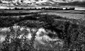 https://www.waibe.fr/sites/francipaq/medias/images/__HIDDEN__galerie_44/20260726-L4003106-b_BW_copie_2500.jpg