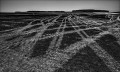 https://www.waibe.fr/sites/francipaq/medias/images/__HIDDEN__galerie_44/20260728-L4003116-b_BW_copie_2500.jpg