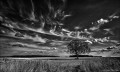 https://www.waibe.fr/sites/francipaq/medias/images/__HIDDEN__galerie_44/20260731-L4003126-b_BW_copie_2500.jpg