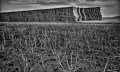 https://www.waibe.fr/sites/francipaq/medias/images/__HIDDEN__galerie_44/20260815-L4003163-b_BW_copie_2500.jpg