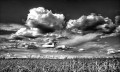 https://www.waibe.fr/sites/francipaq/medias/images/__HIDDEN__galerie_44/20260822-L4003177-b_BW_copie_2500.jpg