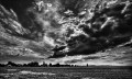 https://www.waibe.fr/sites/francipaq/medias/images/__HIDDEN__galerie_44/20260822-L4003191-b_BW_copie_2500.jpg