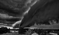 https://www.waibe.fr/sites/francipaq/medias/images/__HIDDEN__galerie_44/20260828-L4003222-b_BW_copie_2500.jpg