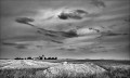 https://www.waibe.fr/sites/francipaq/medias/images/__HIDDEN__galerie_44/L4003035-b_BW_copie_2500.jpg