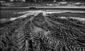 https://www.waibe.fr/sites/francipaq/medias/images/__HIDDEN__galerie_47/20250201-B0001235-b_BW_copie_1500.jpg