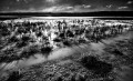 https://www.waibe.fr/sites/francipaq/medias/images/__HIDDEN__galerie_47/20250201-B0001242-b_BW_copie_1500.jpg