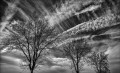 https://www.waibe.fr/sites/francipaq/medias/images/__HIDDEN__galerie_47/20250215-L2000659-b_BW_copie_1500.jpg