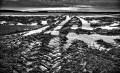 https://www.waibe.fr/sites/francipaq/medias/images/__HIDDEN__galerie_47/20250215-L2000676-b_BW_copie_1500.jpg