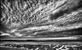 https://www.waibe.fr/sites/francipaq/medias/images/__HIDDEN__galerie_47/20250215-L2000677-b_BW_copie_1500.jpg
