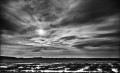 https://www.waibe.fr/sites/francipaq/medias/images/__HIDDEN__galerie_47/20250221-L2000694_b_BW_copie_1500.jpg