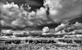 https://www.waibe.fr/sites/francipaq/medias/images/__HIDDEN__galerie_47/20250222-L2000703_b_BW_copie_1500.jpg