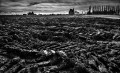 https://www.waibe.fr/sites/francipaq/medias/images/__HIDDEN__galerie_47/20250223-L2000715_b_BW_copie_1500.jpg