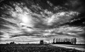 https://www.waibe.fr/sites/francipaq/medias/images/__HIDDEN__galerie_47/20250223-L2000717_b_BW_copie_1500.jpg