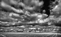 https://www.waibe.fr/sites/francipaq/medias/images/__HIDDEN__galerie_47/20250227-L2000721_b_BW_copie_1500.jpg