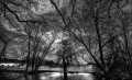 https://www.waibe.fr/sites/francipaq/medias/images/__HIDDEN__galerie_47/20250308-L2000755_b_BW_copie_1500.jpg