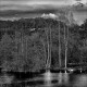 https://www.waibe.fr/sites/francipaq/medias/images/__HIDDEN__galerie_47/20250315-L1000022_b_BW_copie_1500.jpg