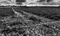 https://www.waibe.fr/sites/francipaq/medias/images/__HIDDEN__galerie_47/20250316-L1000029_b_BW_copie_1500.jpg