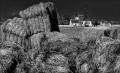 https://www.waibe.fr/sites/francipaq/medias/images/__HIDDEN__galerie_47/20250317-L1000046_b_BW_copie_1500.jpg