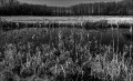 https://www.waibe.fr/sites/francipaq/medias/images/__HIDDEN__galerie_47/20250317-L1000051_b_BW_copie_1500.jpg