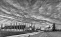 https://www.waibe.fr/sites/francipaq/medias/images/__HIDDEN__galerie_47/20250320-L1000063_b_BW_copie_1500.jpg