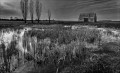 https://www.waibe.fr/sites/francipaq/medias/images/__HIDDEN__galerie_47/20250320-L1000069_b_BW_copie_1500.jpg