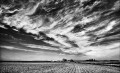 https://www.waibe.fr/sites/francipaq/medias/images/__HIDDEN__galerie_47/20250519-L2000766-Modifier_b_BW_copie_1500.jpg