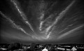 https://www.waibe.fr/sites/francipaq/medias/images/__HIDDEN__galerie_47/20250610-L2000858-Modifier_b_bw_copie_1500.jpg